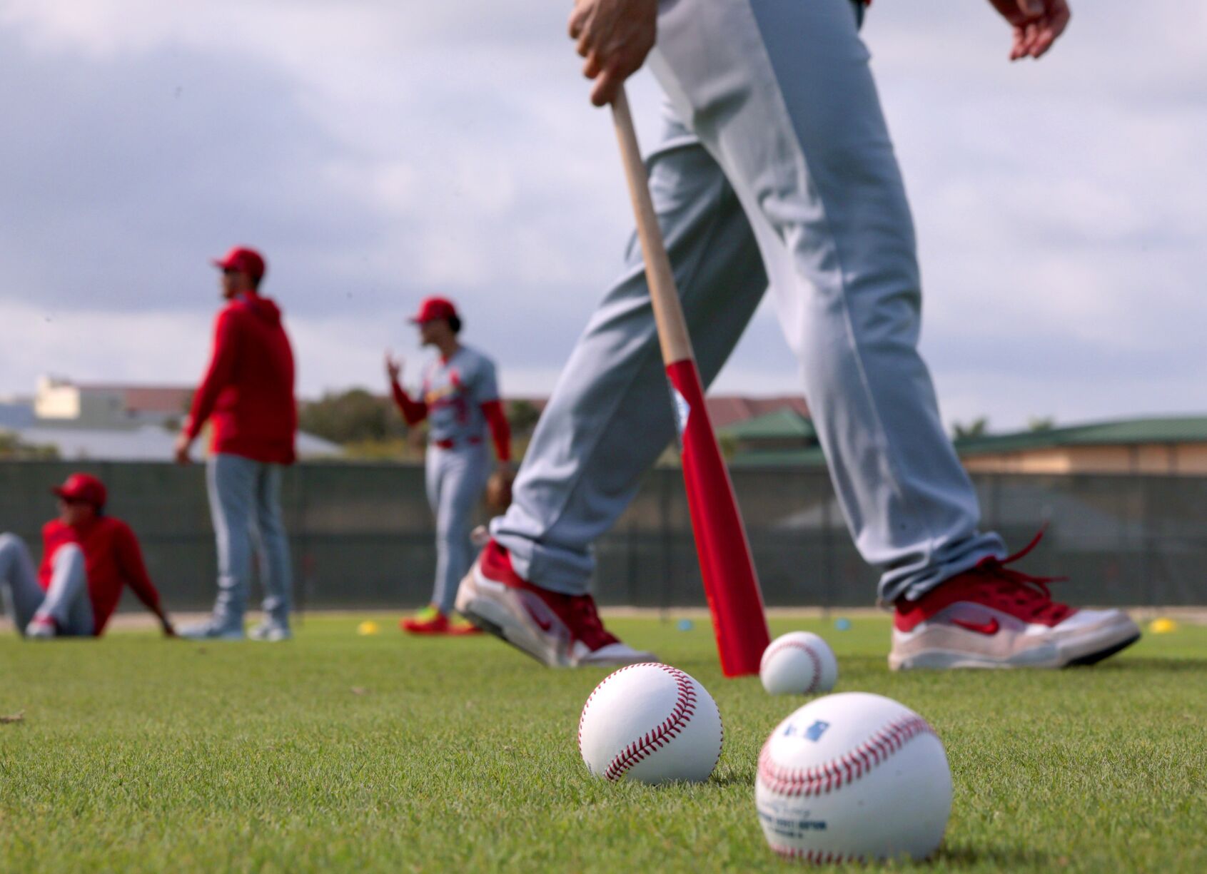 أغر؟´«أ½ Cardinals continue spring training with full squad reporting in Jupiter